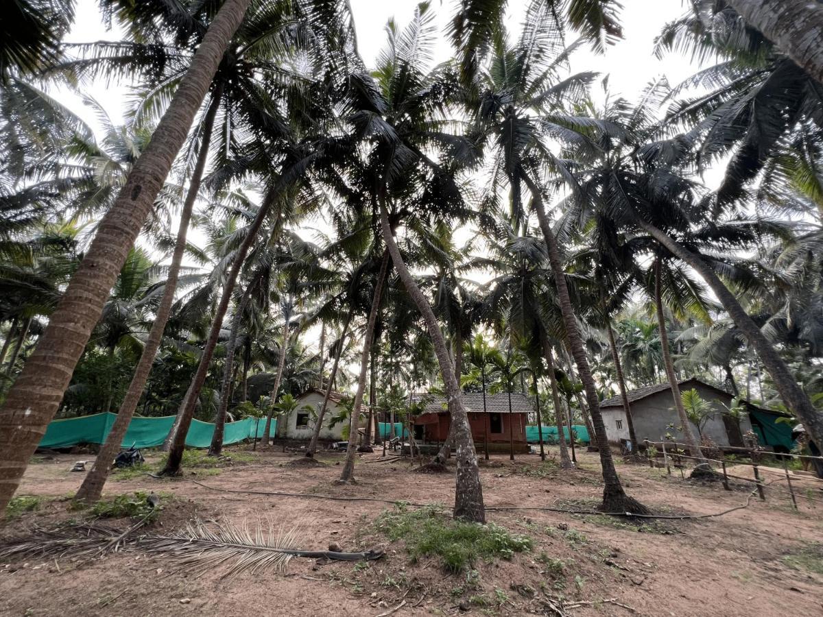Hostelexp, Gokarna - A Slow-Paced Backpackers Community Exterior photo