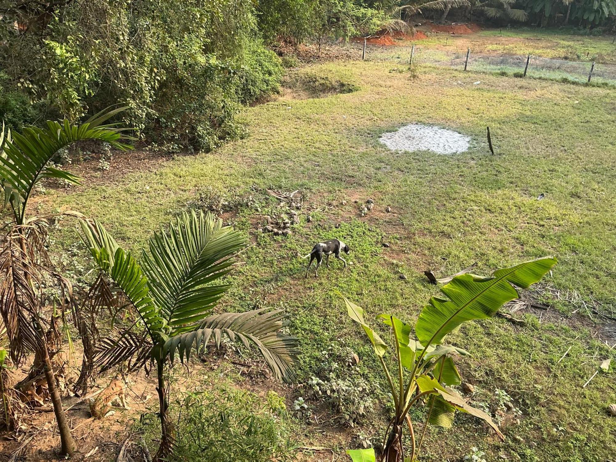 Hostelexp, Gokarna - A Slow-Paced Backpackers Community Exterior photo